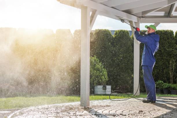 Best Dumpster Area Cleaning  in Centerville, IN