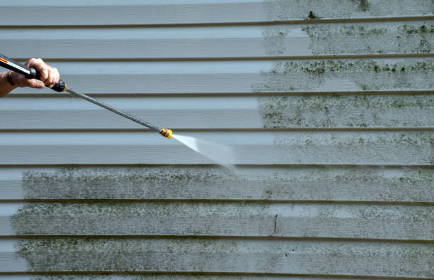 Best Driveway Pressure Washing  in Centerville, IN